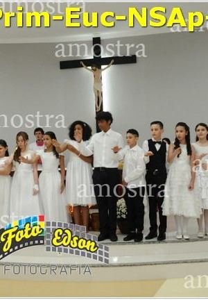 24612-Prim-Euc-NSAp-23-11-2025