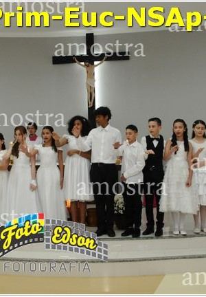 24613-Prim-Euc-NSAp-23-11-2025