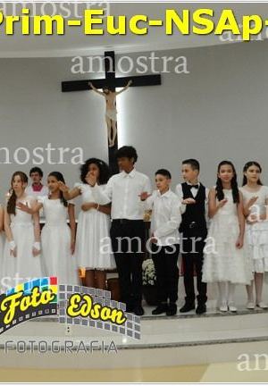 24614-Prim-Euc-NSAp-23-11-2025