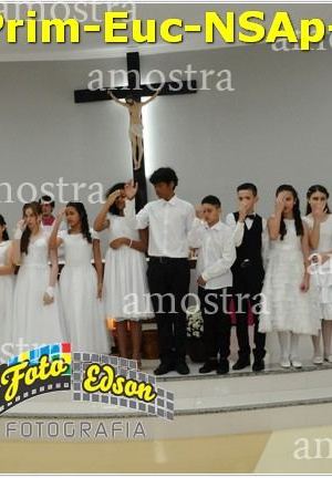 24615-Prim-Euc-NSAp-23-11-2025