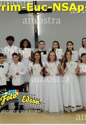 24616-Prim-Euc-NSAp-23-11-2025