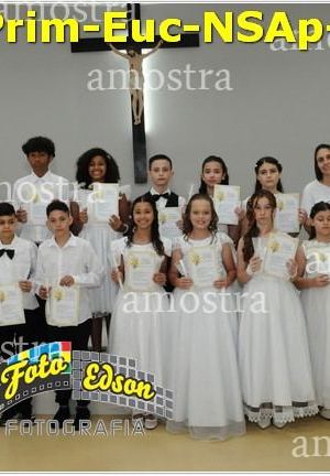 24616-Prim-Euc-NSAp-23-11-2025