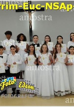 24617-Prim-Euc-NSAp-23-11-2025