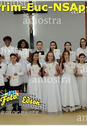 24619-Prim-Euc-NSAp-23-11-2025