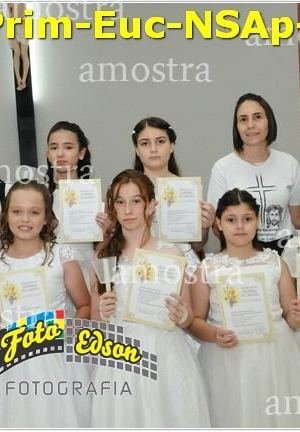 24622-Prim-Euc-NSAp-23-11-2025