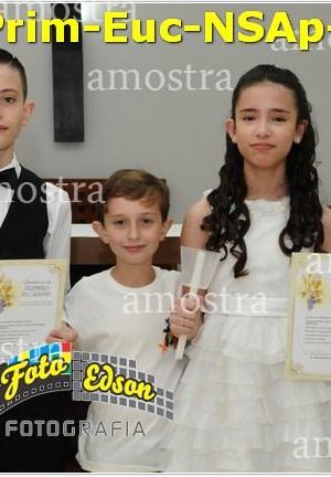 24638-Prim-Euc-NSAp-23-11-2025