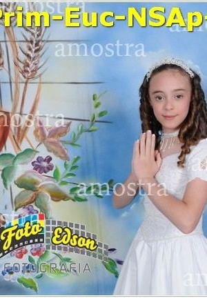 24645-Prim-Euc-NSAp-23-11-2025