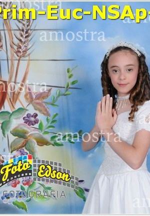 24645-Prim-Euc-NSAp-23-11-2025