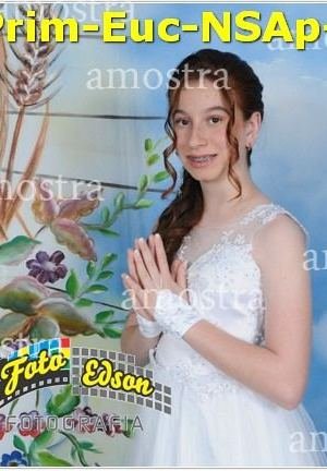 24681-Prim-Euc-NSAp-23-11-2025