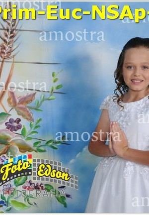 24707-Prim-Euc-NSAp-23-11-2025