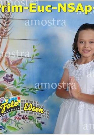 24707-Prim-Euc-NSAp-23-11-2025