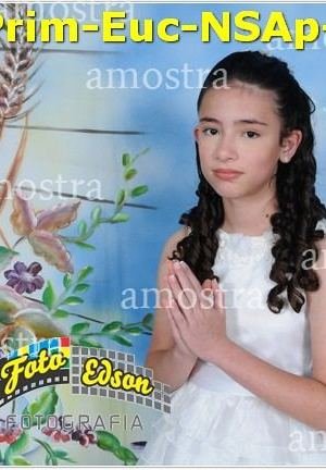 24716-Prim-Euc-NSAp-23-11-2025