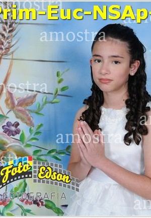 24716-Prim-Euc-NSAp-23-11-2025