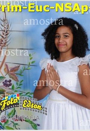 24762-Prim-Euc-NSAp-23-11-2025