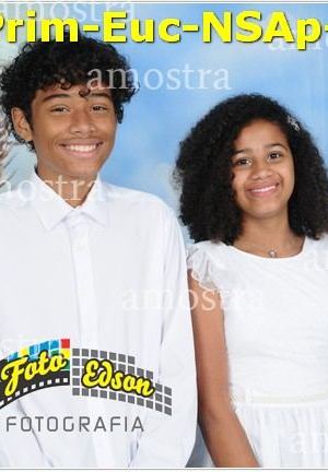 24781-Prim-Euc-NSAp-23-11-2025