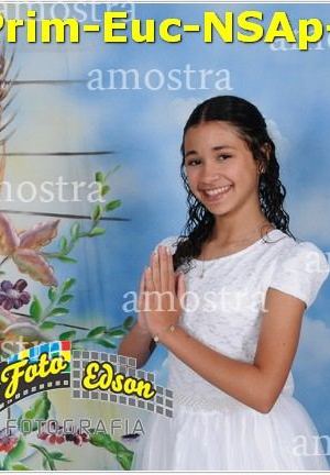 24810-Prim-Euc-NSAp-23-11-2025