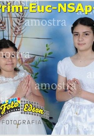 24837-Prim-Euc-NSAp-23-11-2025