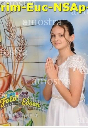 04303-Prim-Euc-NSAp-15-06-2025