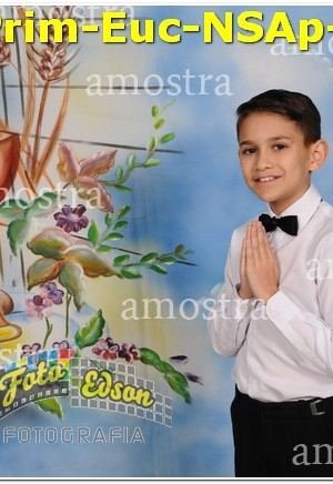 04495-Prim-Euc-NSAp-15-06-2025