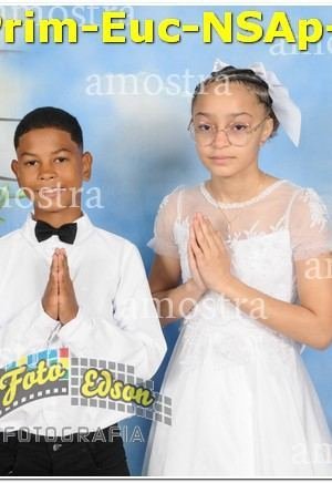 04519-Prim-Euc-NSAp-15-06-2025