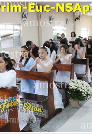 04884-Prim-Euc-NSAp-15-06-2025