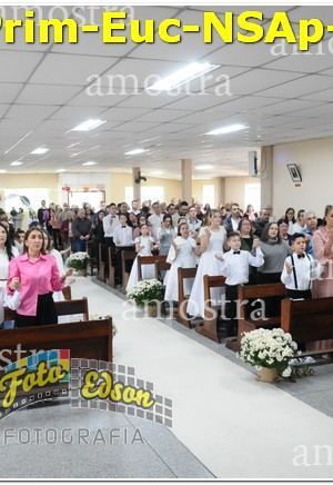 04891-Prim-Euc-NSAp-15-06-2025