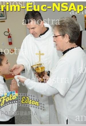 04894-Prim-Euc-NSAp-15-06-2025