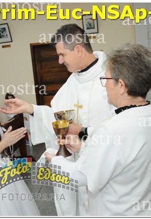 04921-Prim-Euc-NSAp-15-06-2025