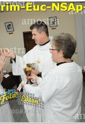 04942-Prim-Euc-NSAp-15-06-2025