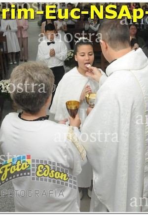 04951-Prim-Euc-NSAp-15-06-2025