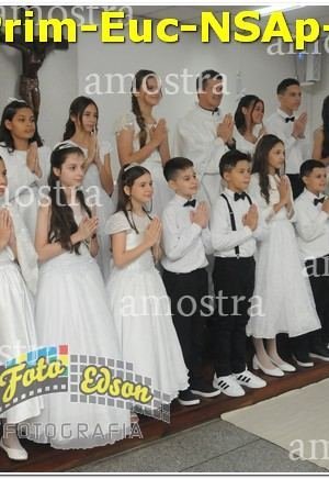 04973-Prim-Euc-NSAp-15-06-2025