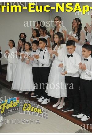 04983-Prim-Euc-NSAp-15-06-2025
