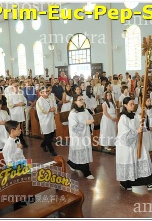 27450-Prim-Euc-Pep-Sos-23-11-2024