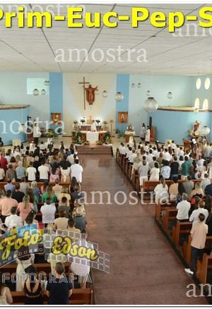 27458-Prim-Euc-Pep-Sos-23-11-2024