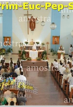 27460-Prim-Euc-Pep-Sos-23-11-2024