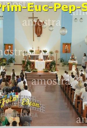 27460-Prim-Euc-Pep-Sos-23-11-2024
