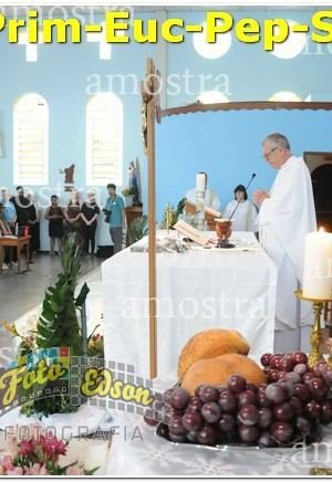 27499-Prim-Euc-Pep-Sos-23-11-2024