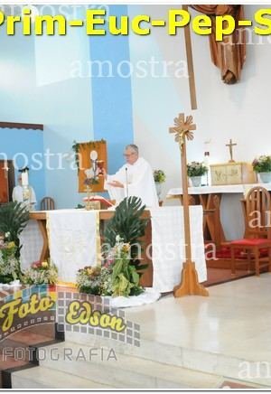 27509-Prim-Euc-Pep-Sos-23-11-2024