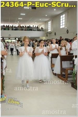 24364-P-Euc-SCruz-10-12-2023