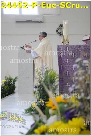 24492-P-Euc-SCruz-10-12-2023