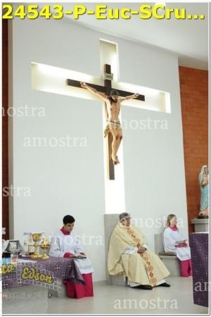 24543-P-Euc-SCruz-10-12-2023