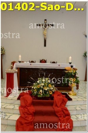 01402-Sao-Domingos-Savio-22-04-2023