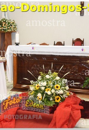 01408-Sao-Domingos-Savio-22-04-2023