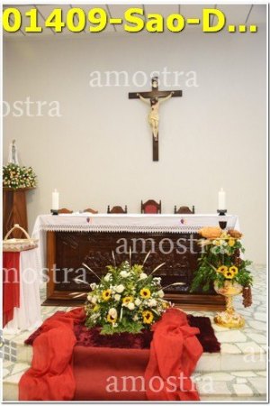 01409-Sao-Domingos-Savio-22-04-2023