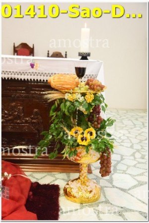 01410-Sao-Domingos-Savio-22-04-2023