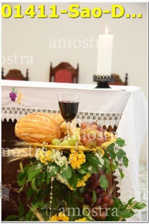 01411-Sao-Domingos-Savio-22-04-2023