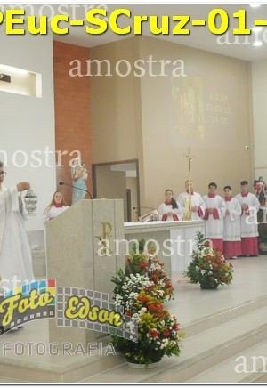 34276-PEuc-SCruz-01-12-2024