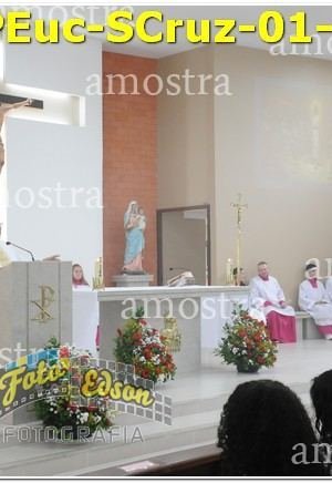 34277-PEuc-SCruz-01-12-2024