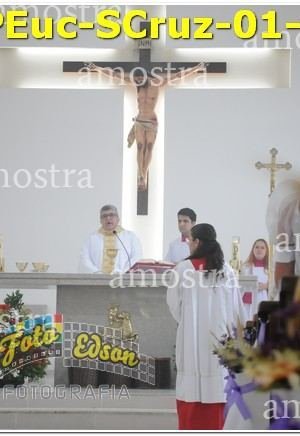 34293-PEuc-SCruz-01-12-2024