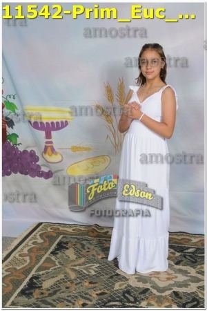 11542-Prim_Euc_SJOperario-02-06-2024